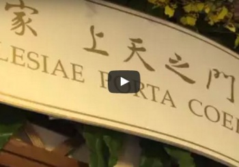 大埔聖母無玷之心堂慈悲之門開啟禮儀 湯漢樞機主禮(1-1-2016)